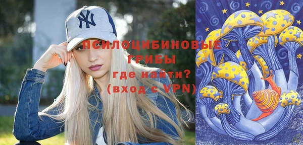 гидропоника Алзамай