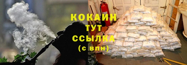 стаф Осинники